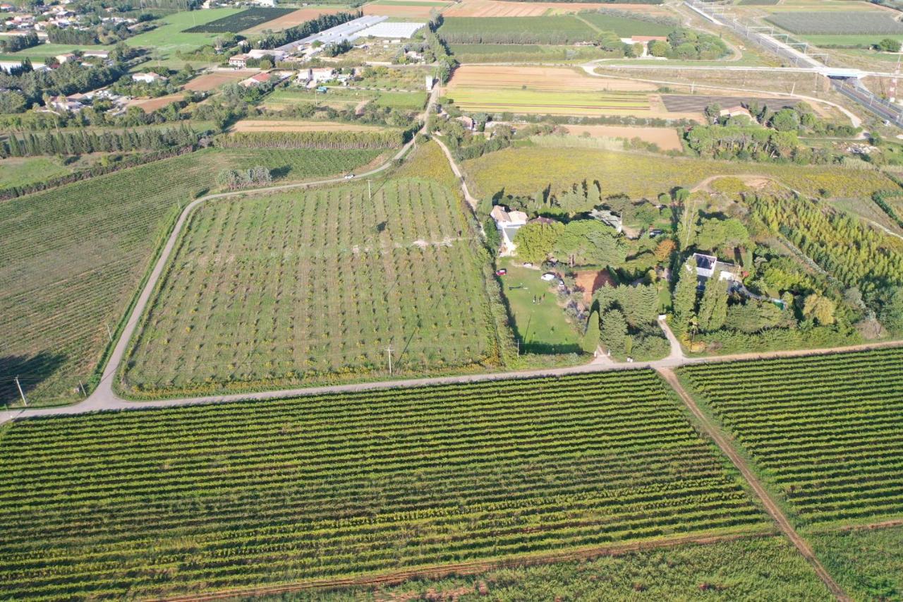 Domaine de la Trinité - 5 min de l'Aéroport - 10 min des plages Saint-Aunes Exterior foto